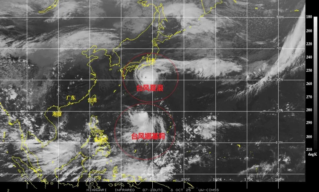 今年第23号台风"娜基莉"生成,今年第23号台风“娜基莉”生成！