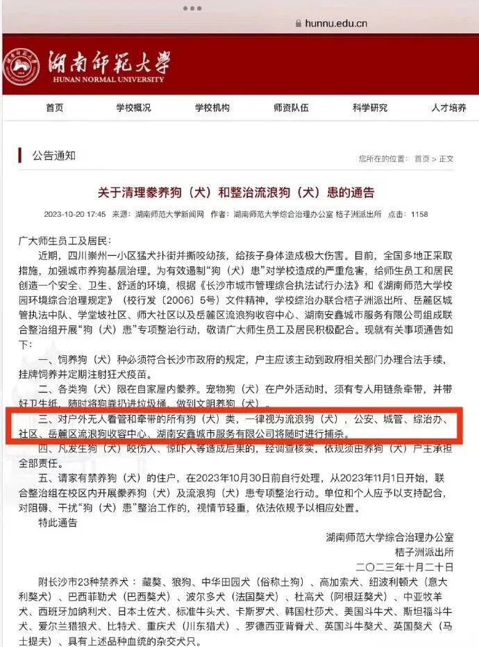 依法养狗：这个一线城市，流浪狗14天无人领养，实施安乐死，你支持么？