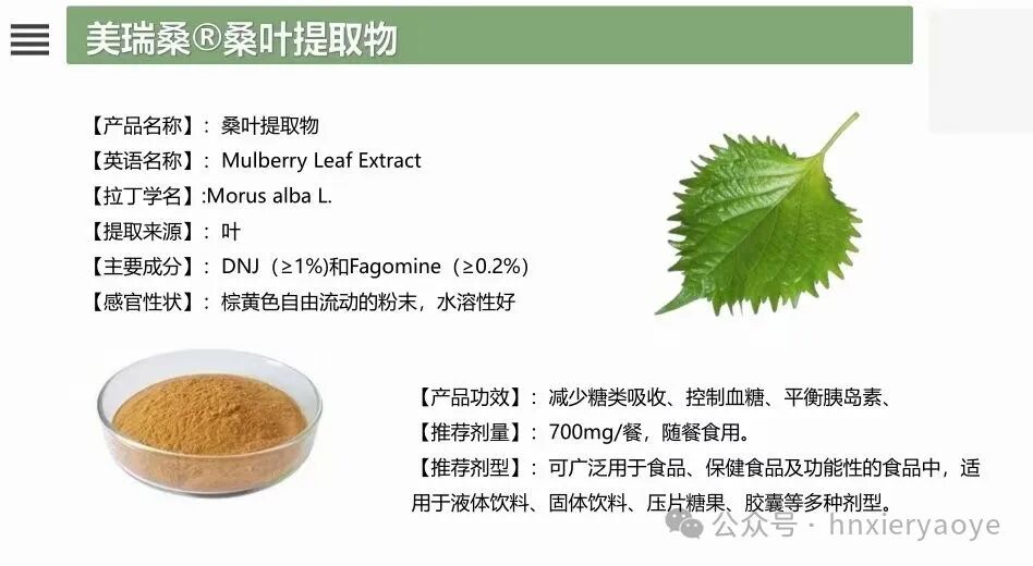 桑叶多糖：天然抗疲劳“神器”？小鼠实验揭示惊人效果！