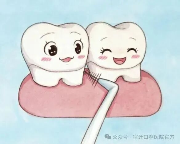 微信图片_20260916083007_224_32.jpg