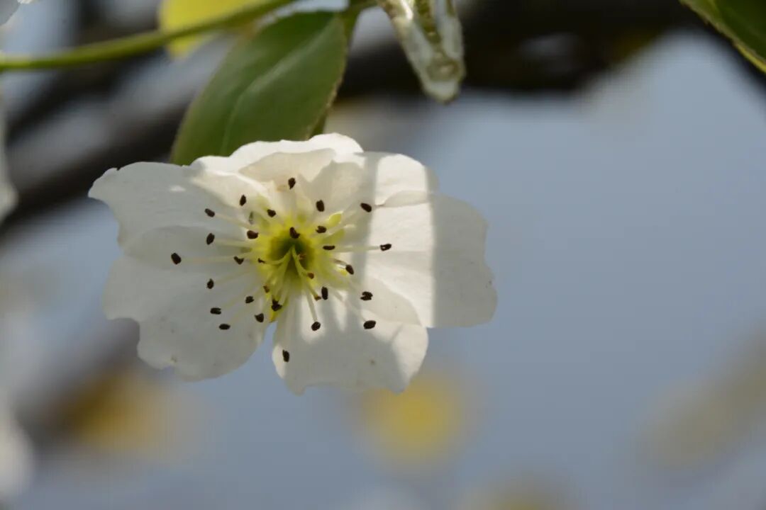 诗人草晖诗歌精选14首