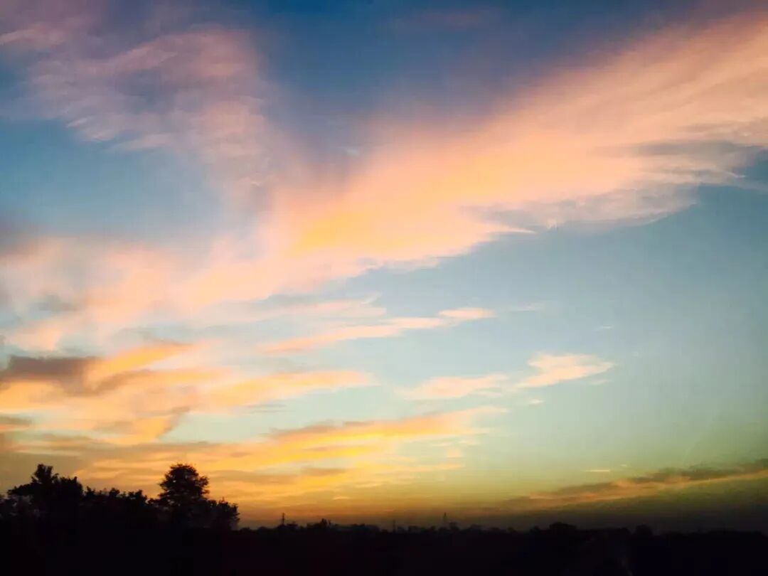 李洪诗歌4首|稻熟,收割的另一种仪式