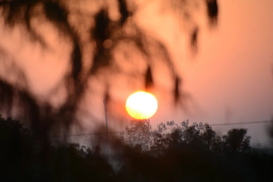 耿兵诗歌10首|我已咽不下这个尘世太多的火焰