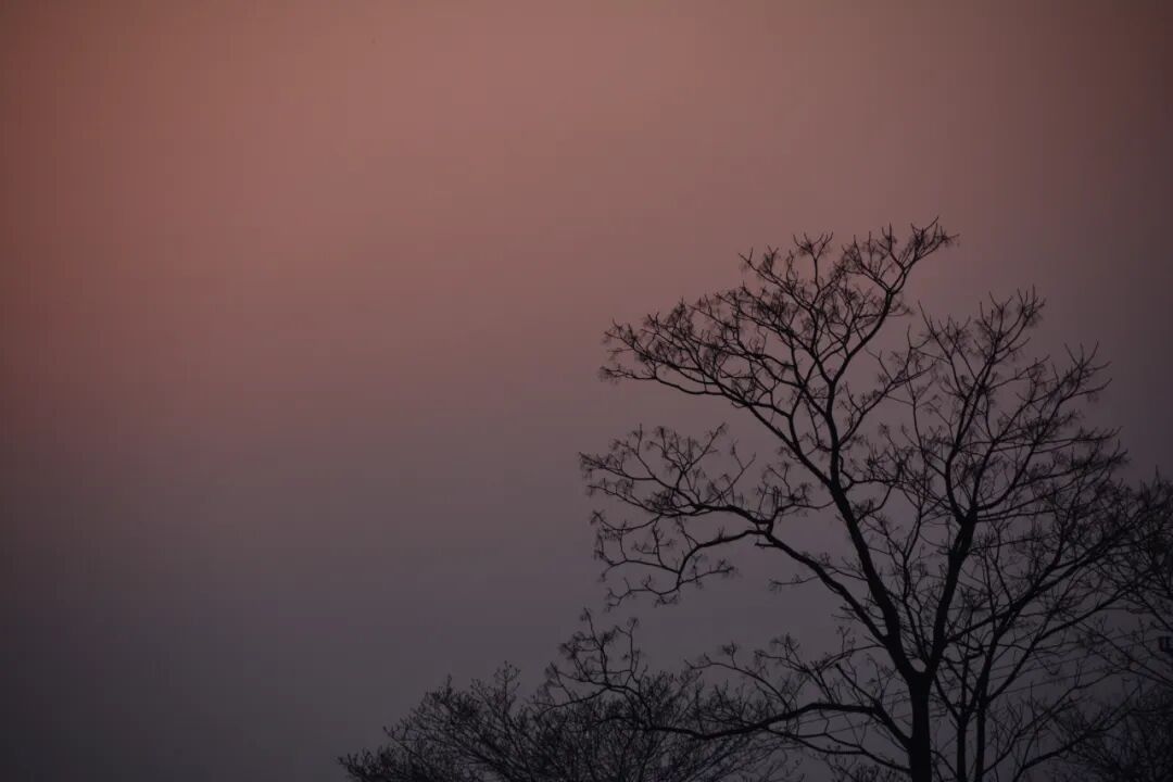 刘书彬诗歌9首|母亲的生活习惯