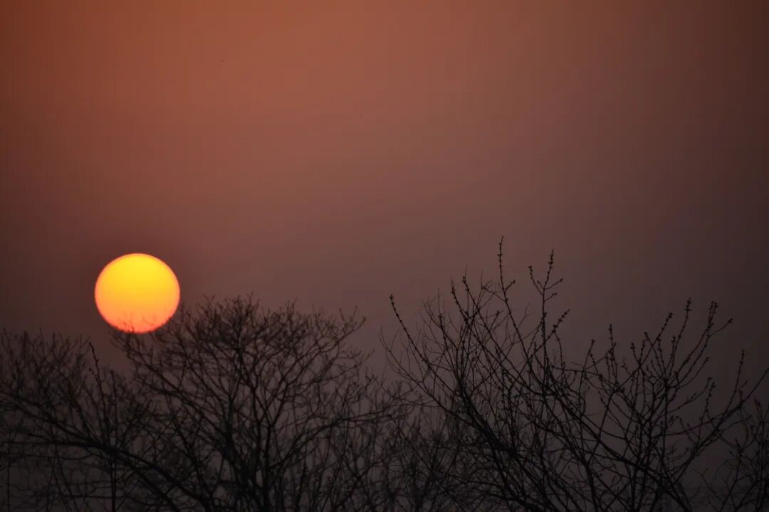 淦河在枕下发出喘息几朵梅花栖居于玻璃水瓶向凝滞的空气努力投掷最后