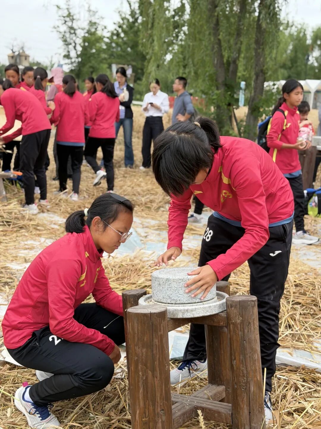 微信图片_2026-06-08_143841_328.jpg