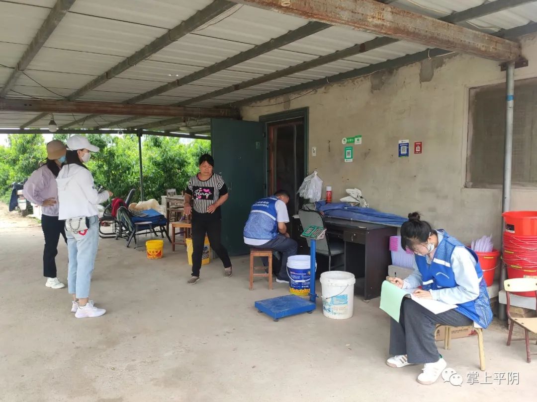 平阴新闻第十五届济南市青少年科技节第七届全国青少年