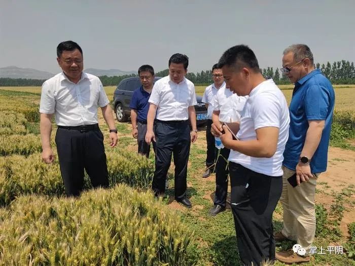 乡村振兴看平阴 ｜ 乡村逐梦人——平阴县孝直镇付庄村党支部书记亓明轩