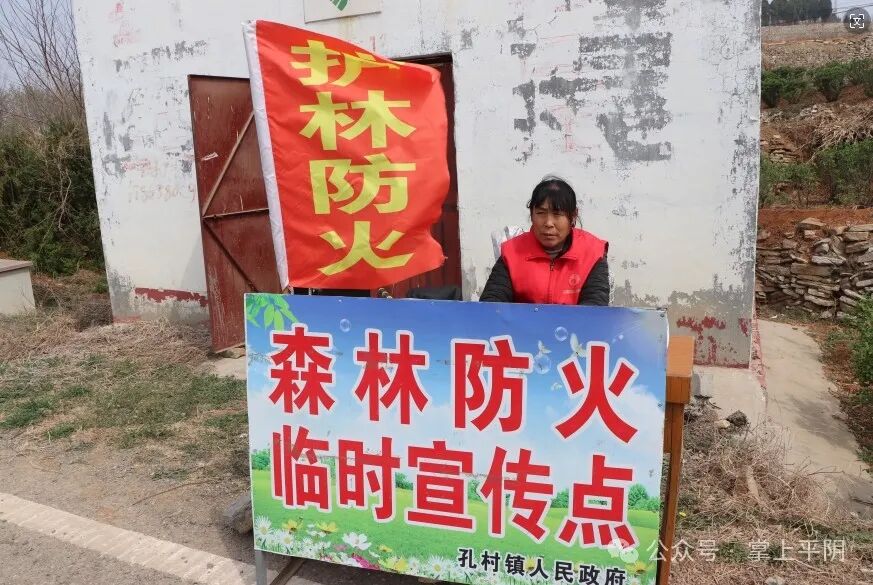 闪电号>媒体>掌上平阴>873_585