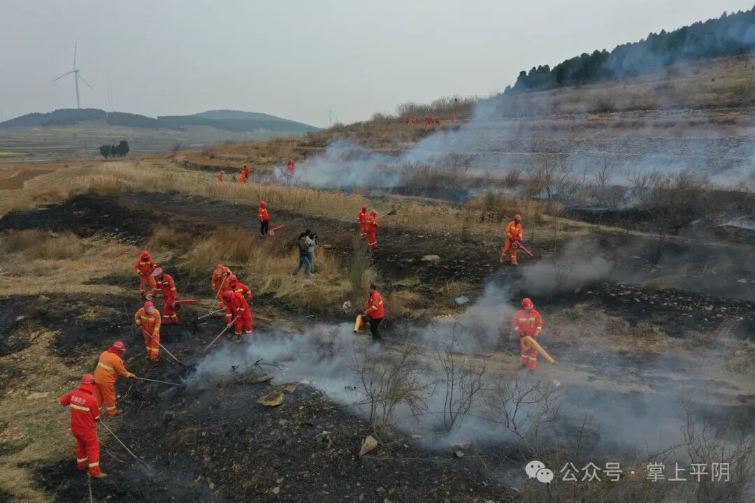 闪电号>媒体>掌上平阴>1080_720