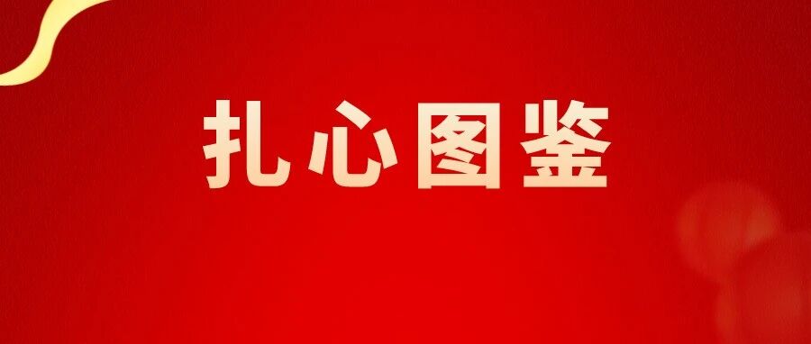 哭笑不得！当代CPA考生备考图鉴，太真实了！