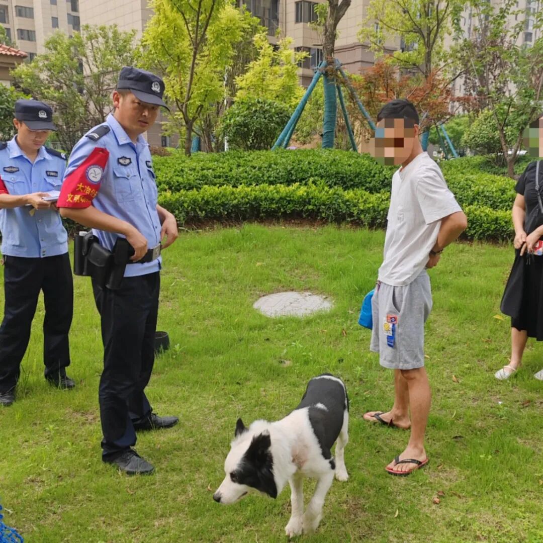 不文明养犬行为曝光