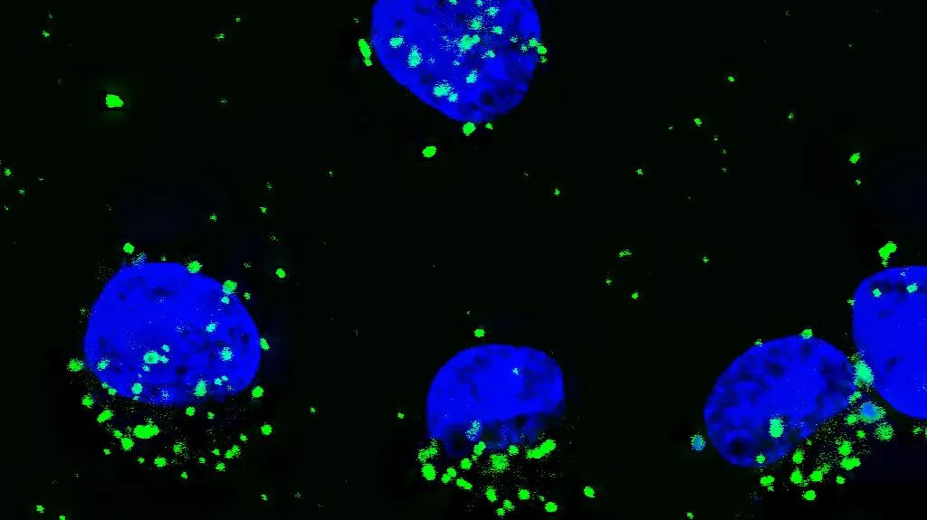 科研路上的同行者 | 2024 SOPTOP客戶文獻(xiàn)盤點(diǎn)