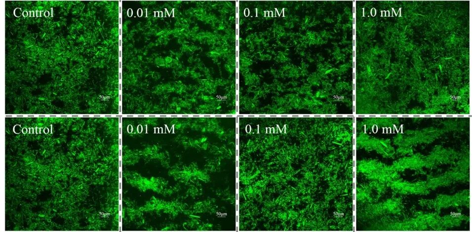 科研路上的同行者 | 2024 SOPTOP客戶文獻(xiàn)盤點(diǎn)