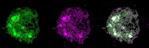 科研路上的同行者 | 2024 SOPTOP客戶文獻(xiàn)盤點(diǎn)