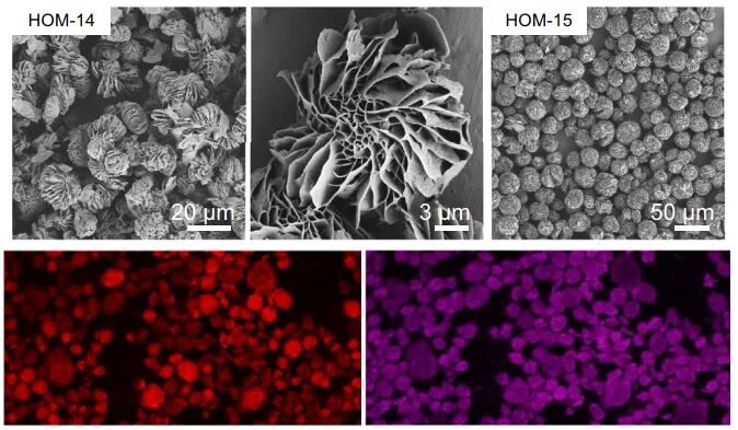 科研路上的同行者 | 2024 SOPTOP客戶文獻(xiàn)盤點(diǎn)