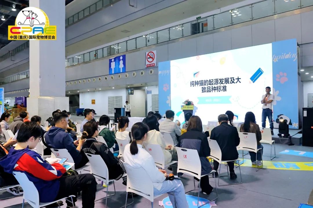 重庆市宠物批发市场_批发宠物重庆市场在哪_重庆宠物批发市场