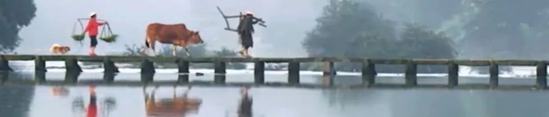 熊市，就是熊市....