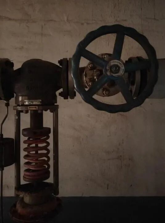 (厂区绿化)4在1,2,3号仓库房顶安装太阳能发电,厂区马路路灯全部更换