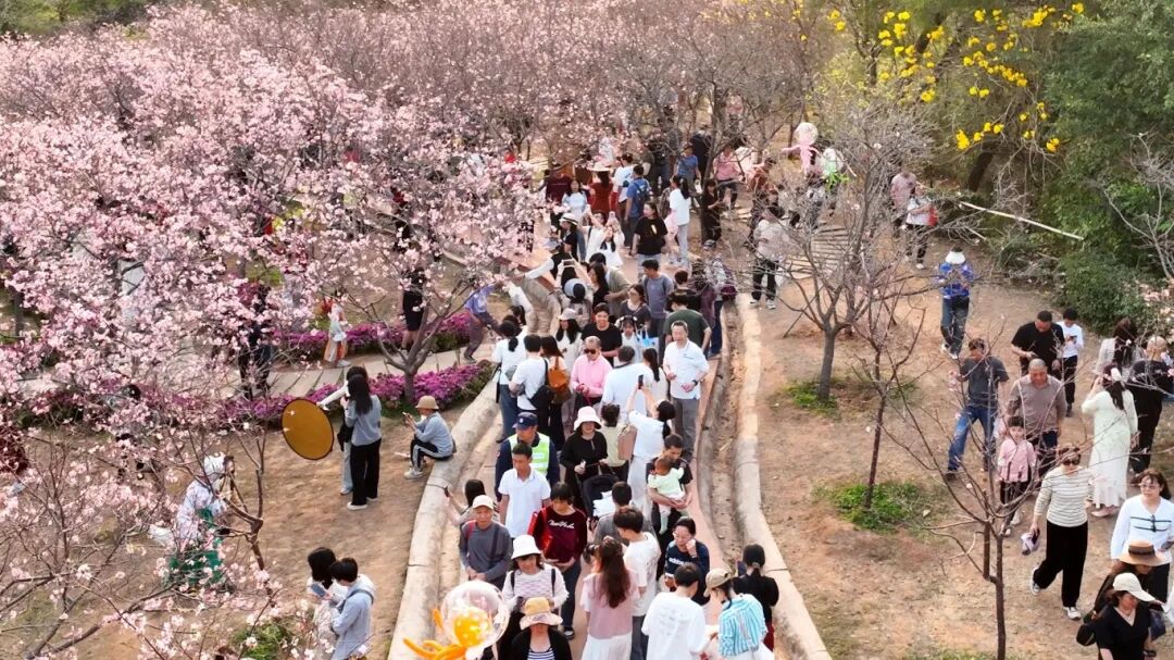 资料图，图/广州南沙发布