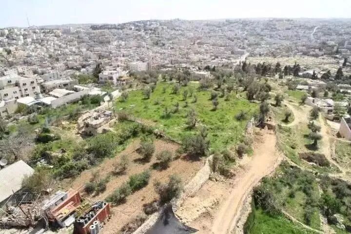 大卫王因何使十二支派归服？