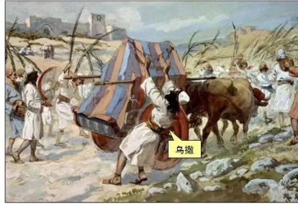 什么是大卫城的坚固磐石？