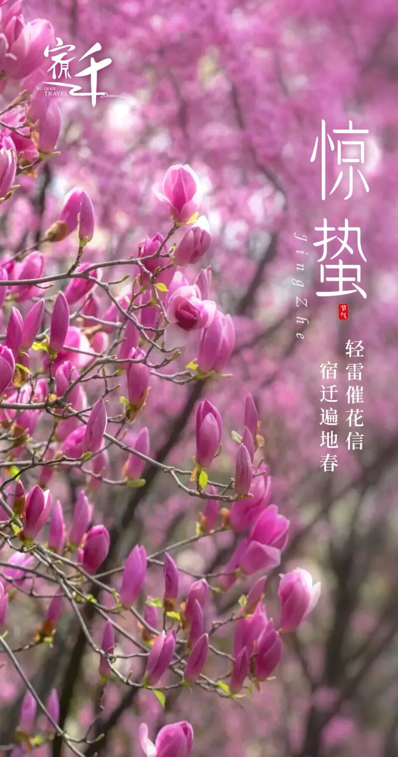 宿迁.jpg