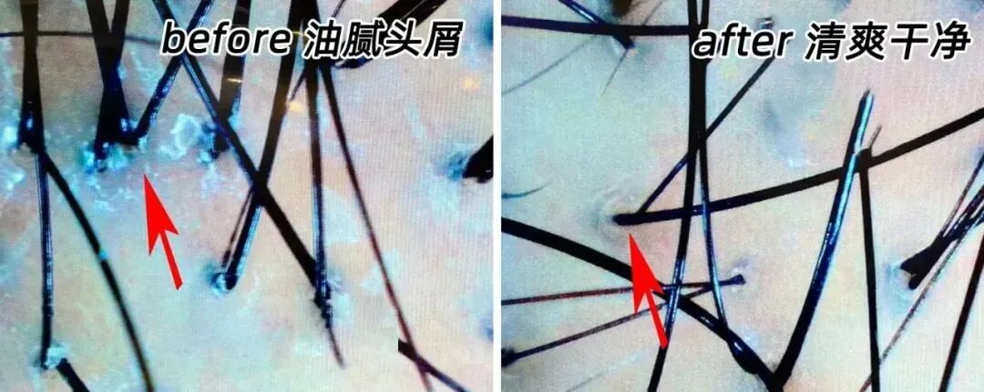 640 (1)_看图王.web.jpg