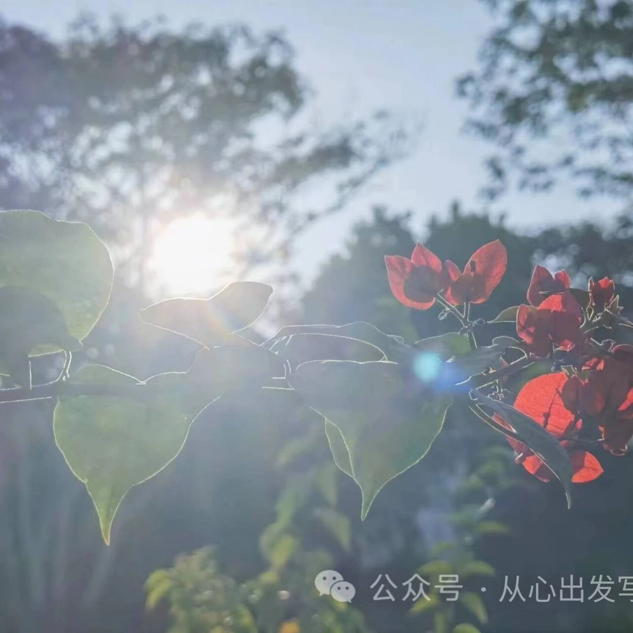 【青春语文·平霞专栏】传承文化，熠熠生辉