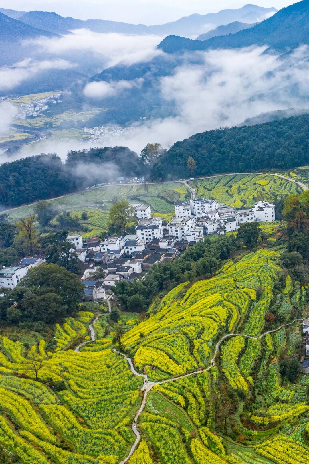 江西婺源江岭风景区春季油菜花云海航拍风光图片素材