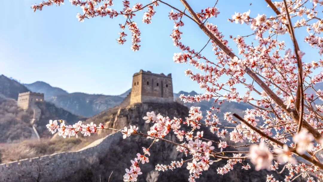 北京河防口长城春色图片素材