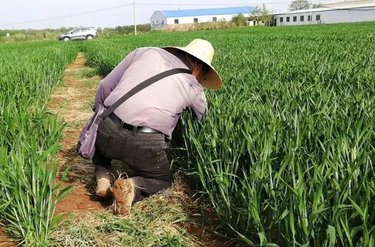 人民日报