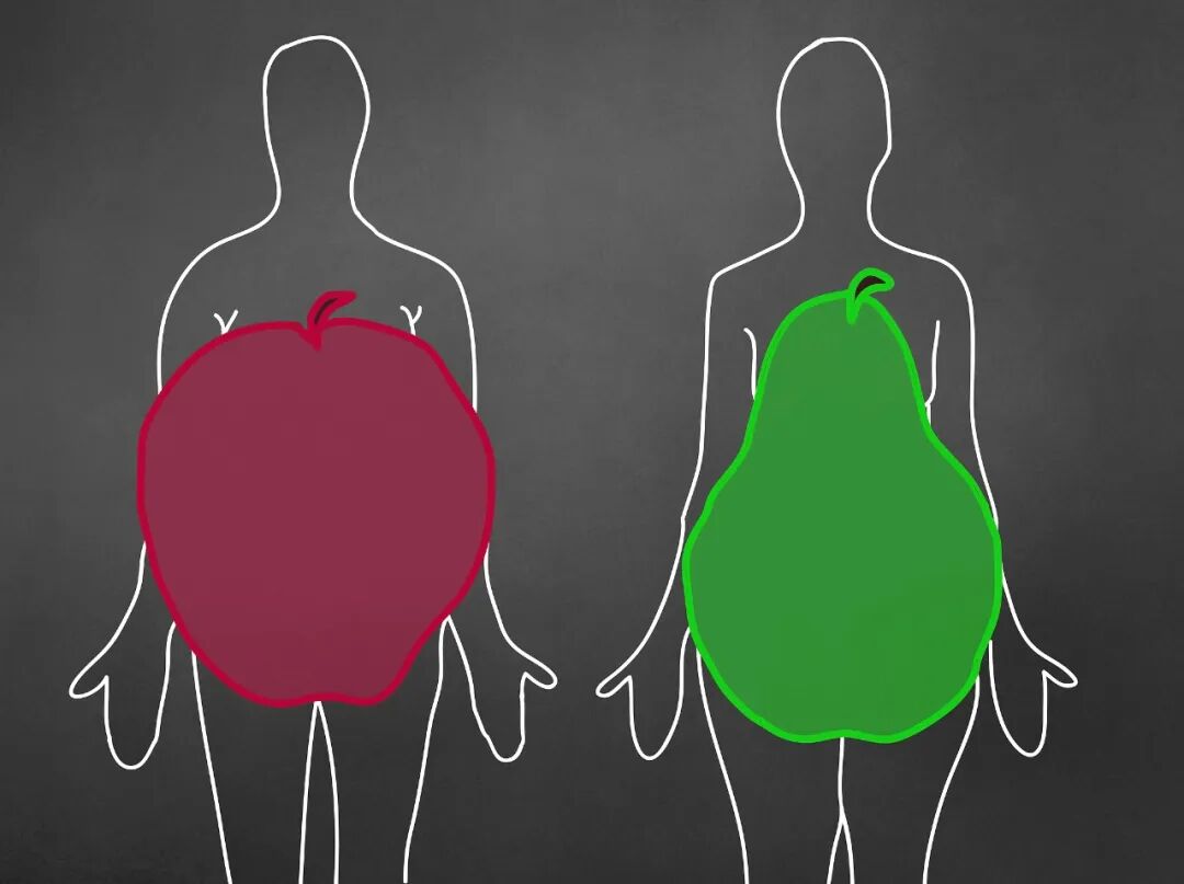 苹果和梨身材时尚造型图片素材