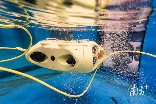 蓝潜海洋的水下机器人，该公司由广智院孵化