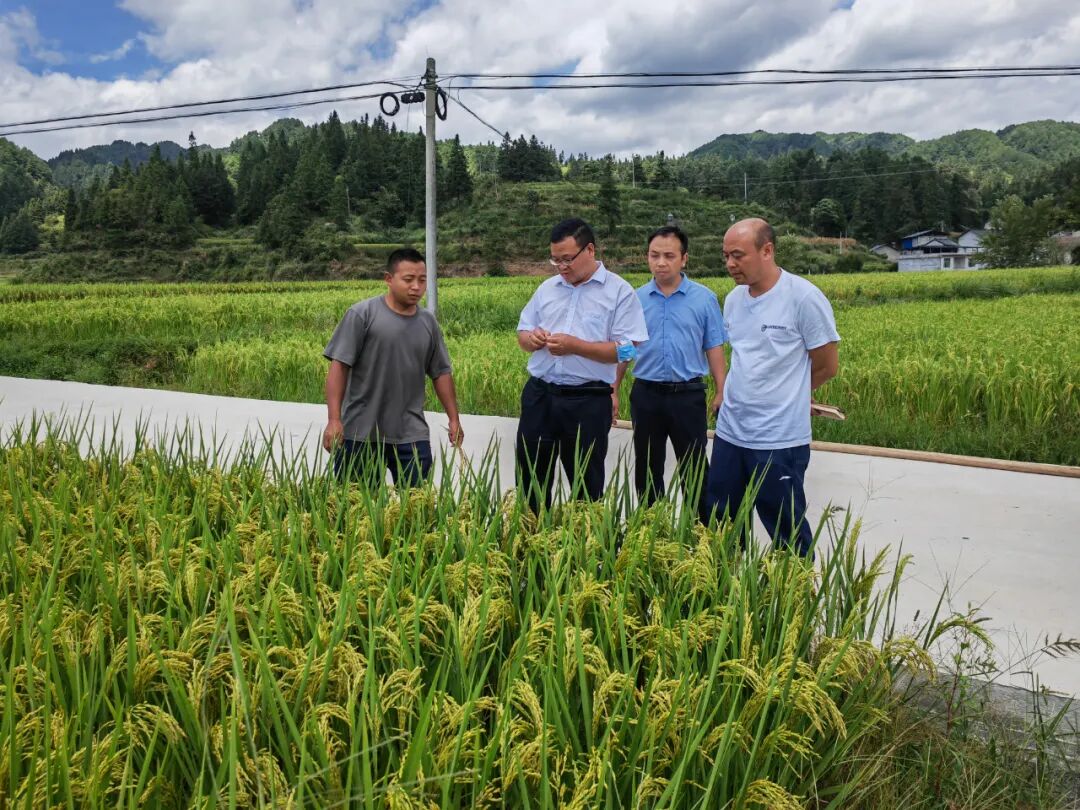 黄平县:吴政富到乡镇调研督导抗旱救灾工作