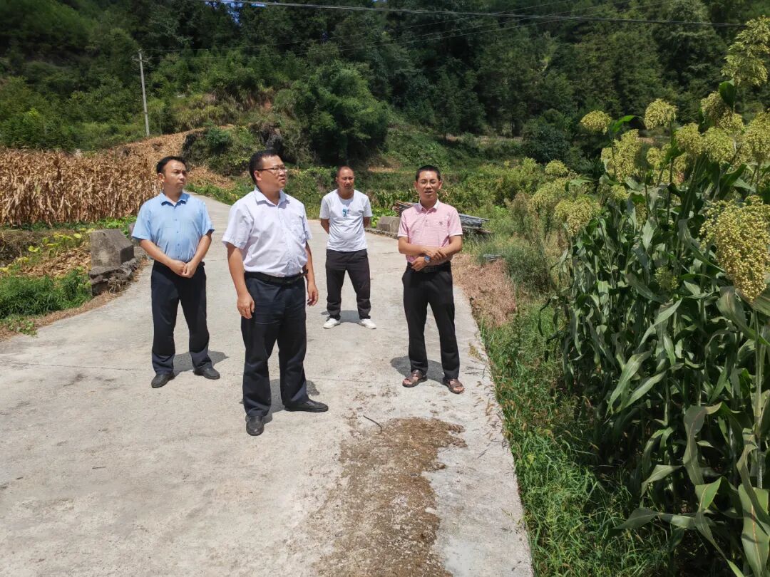 吴政富一行先后深入田间地头,灌溉水源点,实地查看