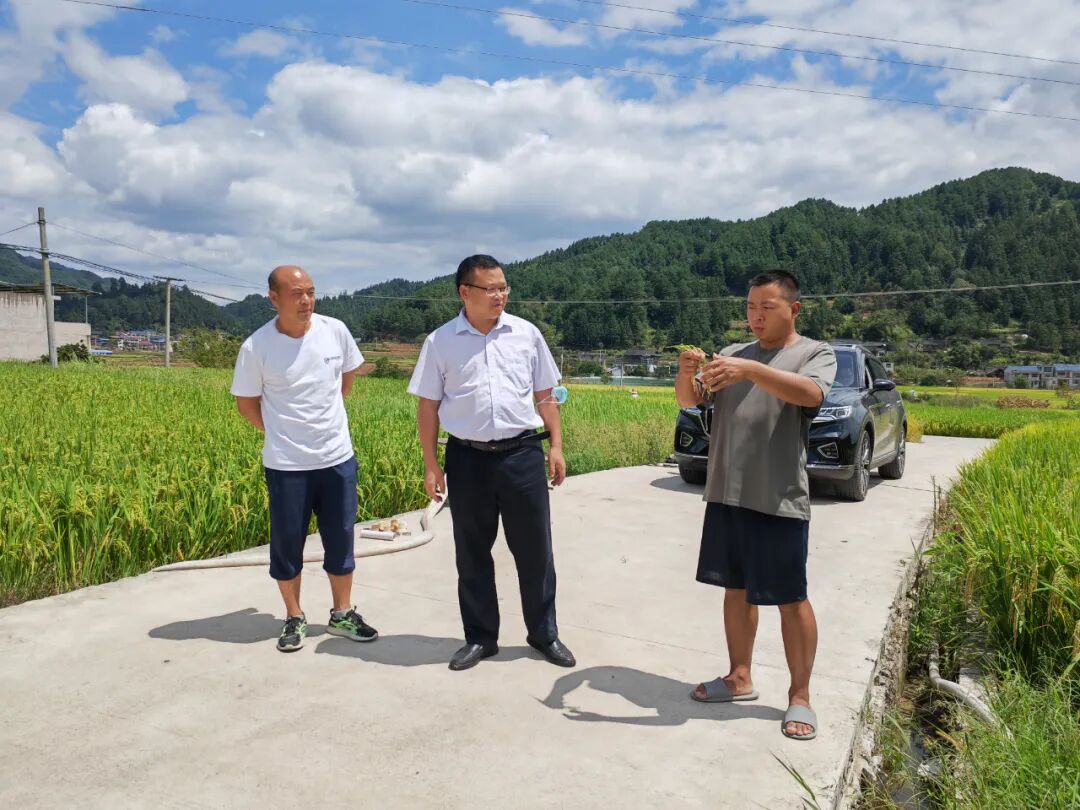 黄平县:吴政富到乡镇调研督导抗旱救灾工作