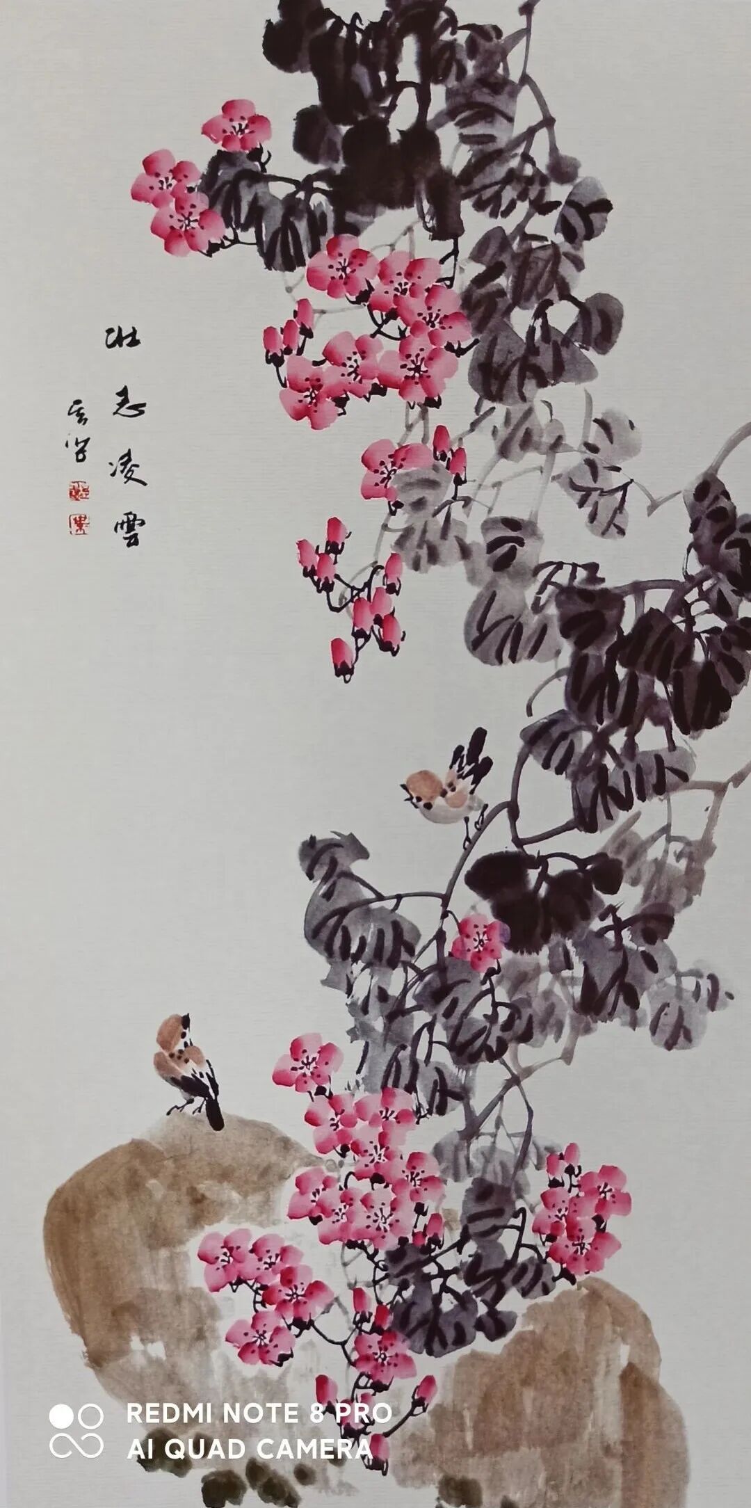 图片
