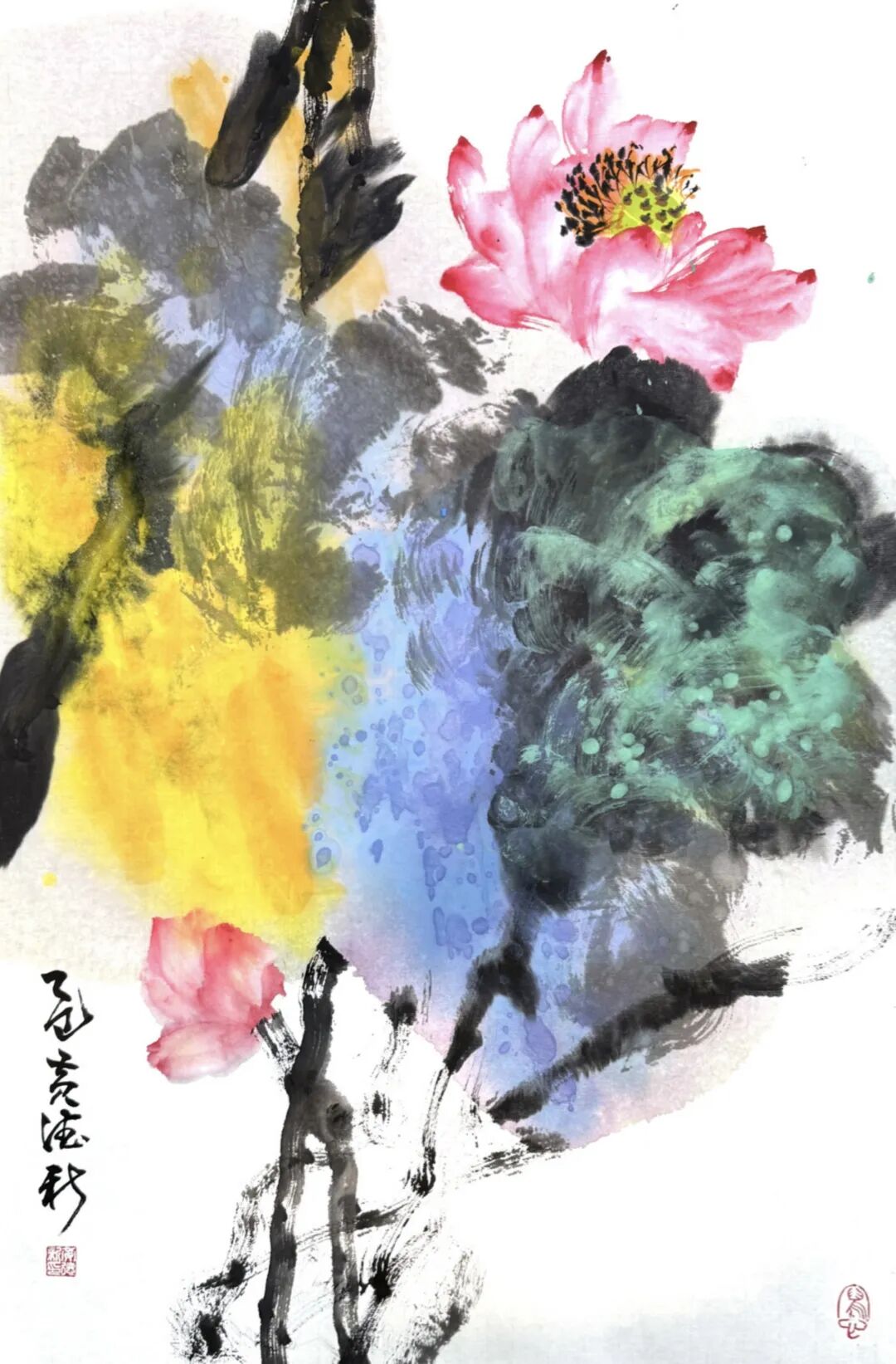 图片