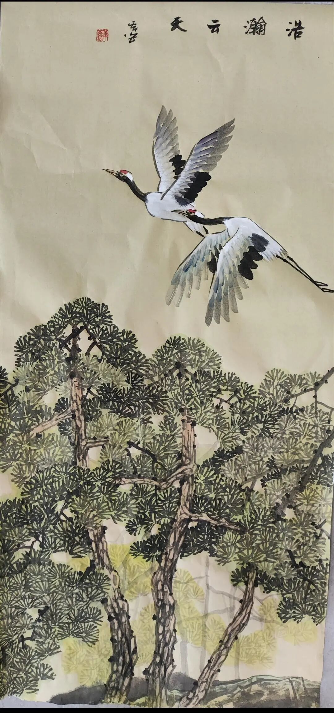 图片