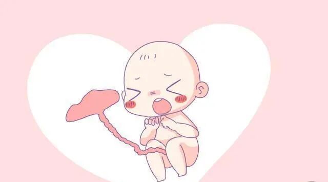 为什么剪脐带要先夹住新生儿剪脐带的时间是有讲究的, 你知道为什么要晚三分钟吗？_https://www.jmylbn.com_新闻资讯_第2张