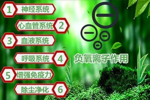 为什么人需要氧气为什么氧气对人体那么重要？_https://www.jmylbn.com_新闻资讯_第2张