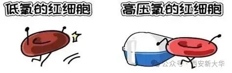 高压氧仓治疗工作流程图Word模板下载_编号qbknkbjz_熊猫办公