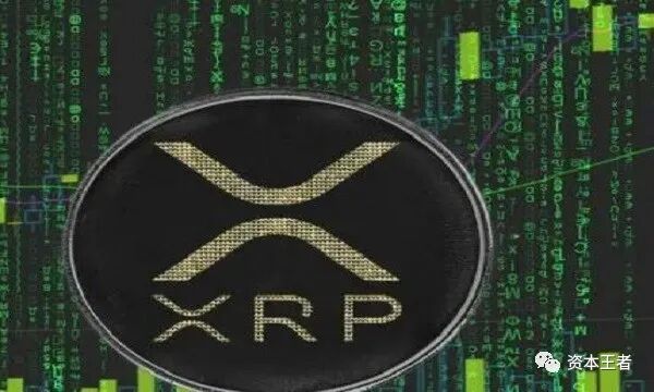 奇亚币最新价格美元