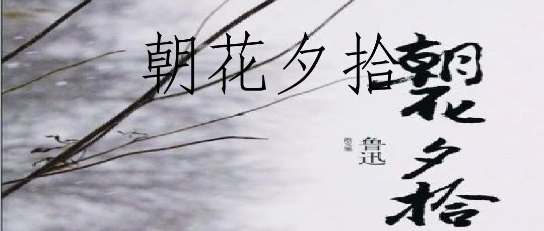 【湿地精品课】赵米英：朝花里谈遇见——《朝花夕拾》主题型设计