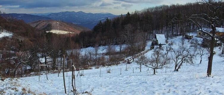 【湿地课堂】赵米英：一语立骨话温晴——《济南的冬天》教学设计