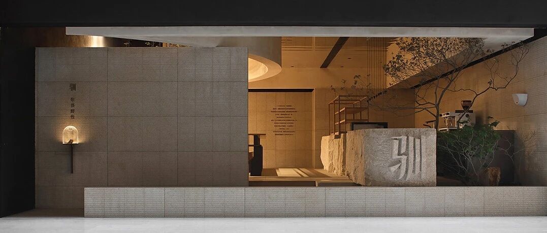 LJID &bull; 张玮 &bull; 驯 山岩生长