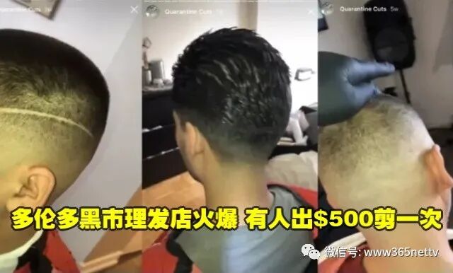 多伦多黑市理发店火爆有人出 500剪一次 房产新闻