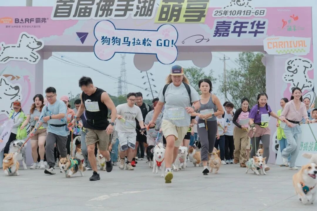 微信图片_20251105144449.jpg