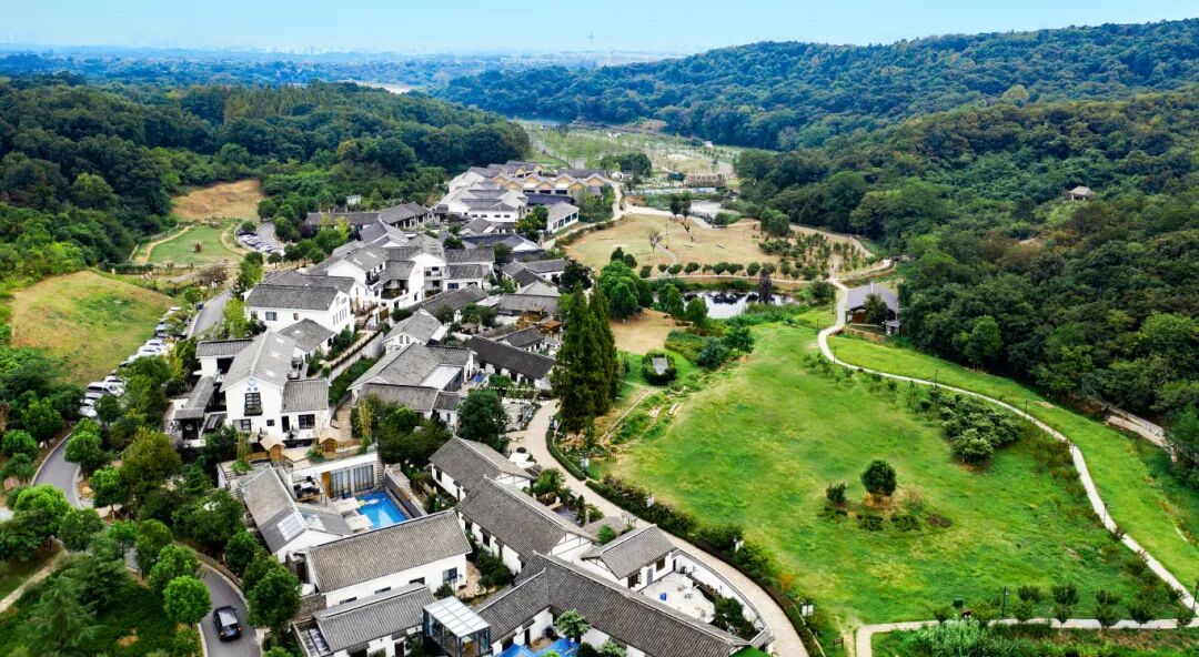 3南京不老村2.jpg